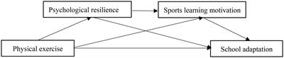 The relationship between physical exercise and school adaptation of junior students: A chain mediating model